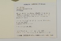 南華南蛇藤，青江藤藏品圖，第2張