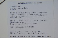 呂宋莢迷藏品圖，第2張