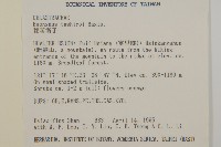 菱葉衛矛藏品圖，第2張