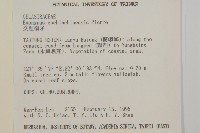 交趾衛矛藏品圖，第2張