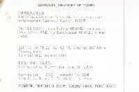 鱗蕊藤藏品圖，第2張