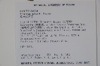 宜昌莢迷藏品圖，第2張