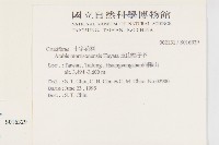 玉山筷子芥藏品圖，第2張