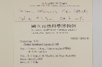 阿里山薊藏品圖，第2張