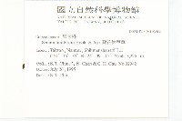 疏花佛甲草藏品圖，第2張