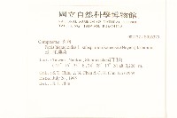 玉山毛蓮菜藏品圖，第2張