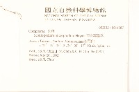 玉山薄雪草藏品圖，第2張