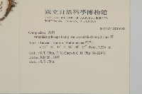 高山艾藏品圖，第2張