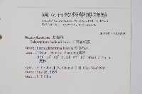 筆頭蛇菰藏品圖，第2張