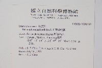 筆頭蛇菰藏品圖，第2張