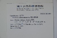 珊瑚樹藏品圖，第2張