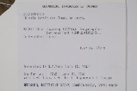 長花厚殼樹藏品圖，第2張