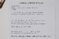 水鴨腳藏品圖，第2張