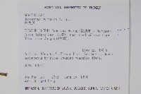 九頭獅子草藏品圖，第2張