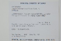 細梗絡石藏品圖，第2張