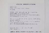 華八角楓藏品圖，第2張