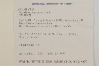 光果南蛇藤藏品圖，第2張