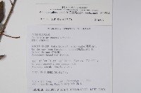 硬齒獼猴桃藏品圖，第2張