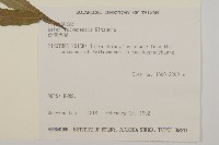 臺灣馬蘭藏品圖，第2張