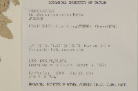 馬氏濱藜藏品圖，第2張