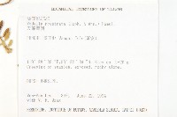 天蓬草舅藏品圖，第2張