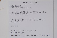 登錄號:S016667藏品圖，第2張