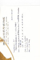 雙輪瓜藏品圖，第2張