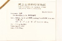 雙花蟛蜞菊藏品圖，第2張