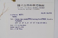 登錄號:S016703藏品圖，第2張