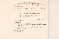 花蓮澤蘭藏品圖，第2張