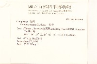 一枝香藏品圖，第2張