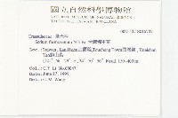 台灣佛甲草、石板菜藏品圖，第2張