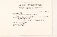 玉山飛蓬藏品圖，第2張