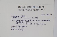 玉山小蘗藏品圖，第2張