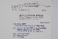 武靴藤藏品圖，第2張