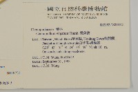 變葉藜藏品圖，第2張