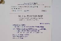 武靴藤藏品圖，第2張