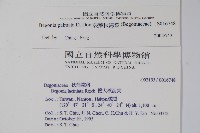 裂葉秋海棠藏品圖，第2張