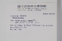 蟾蜍樹藏品圖，第2張