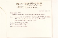 過山龍藏品圖，第2張