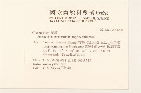 臺灣澤蘭藏品圖，第2張