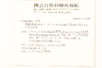 玉山毛蓮菜藏品圖，第2張