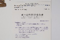 盾果草藏品圖，第2張