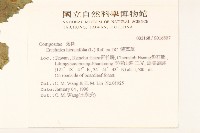 饑荒草藏品圖，第2張