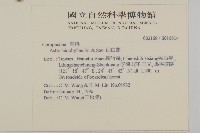 山白蘭藏品圖，第2張