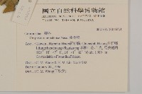 黃金珠藏品圖，第2張