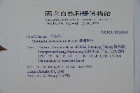 臺灣莢迷藏品圖，第2張