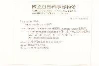 山萵苣藏品圖，第2張