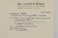 草珊瑚、紅果金粟蘭藏品圖，第2張