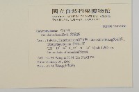 狗筋蔓藏品圖，第2張